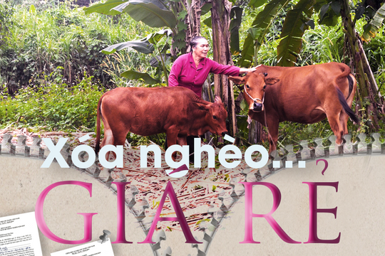 Xóa nghèo… giá rẻ