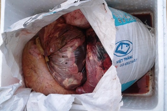 Vận chuyển nội tạng bốc mùi, người đàn ông bỏ trốn vào rừng vì gặp cảnh sát giao thông