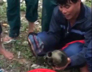 Ngư dân Nghệ An đánh lưới vớt được bộ phận cơ thể người trên biển