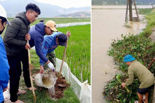 Nghệ An: Xã thu mua đuôi chuột 2.000 đồng, nhà nhà ra đồng diệt chuột