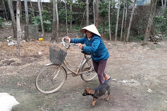 Gia cảnh khốn khó của người phụ nữ đơn thân có con tai nạn nguy kịch, mẹ mù lòa