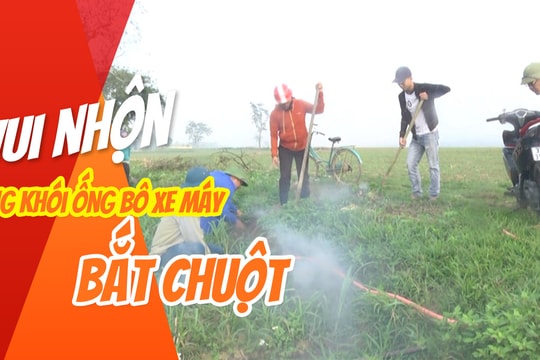 Dùng khói bô xe máy để bắt chuột: Sáng kiến độc đáo của người dân 'quê nhút'