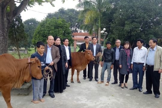 Quỹ Vì trẻ em khuyết tật Việt Nam trao tiền hỗ trợ mua bò sinh sản cho hộ nghèo