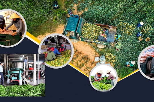 Thủ tướng Chính phủ: Khuyến khích doanh nghiệp đầu tư để tạo giá trị mới cho nông sản