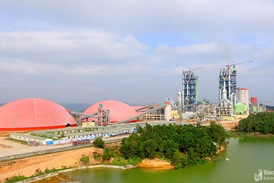 Hai doanh nghiệp tại Nghệ An có dấu hiệu sai phạm