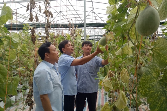 Tân Thành - điểm sáng phát triển của huyện Yên Thành