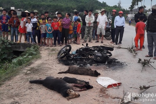 Xác định danh tính 2 người đi trộm chó bị đánh chết và bị thương