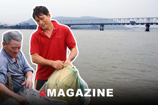 'Lênh đênh' dưới chân cầu Bến Thủy