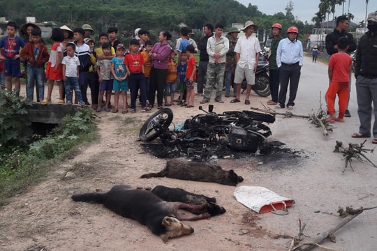 Nghi trộm chó, nam thanh niên bị đánh tử vong, đốt xe máy