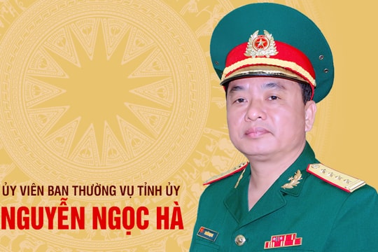 [Infographics] Chân dung tân Ủy viên Ban Thường vụ Tỉnh ủy Nguyễn Ngọc Hà
