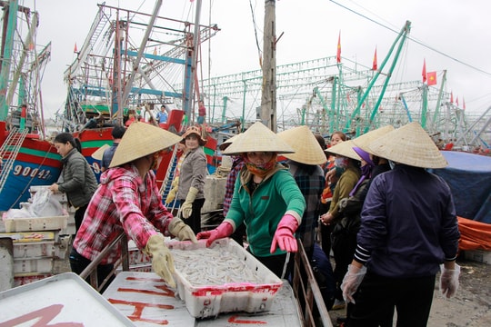 Nghệ An đón đầu thị trường xuất khẩu nông sản 'hậu' Covid-19