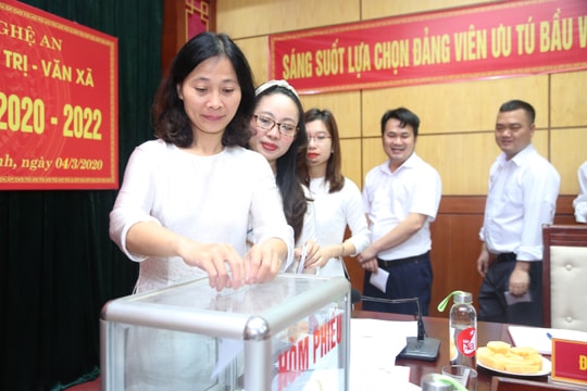 Không phân biệt loại hình đào tạo chuyên môn, lý luận chính trị khi bố trí nhân sự cấp ủy