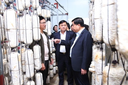 Bộ trưởng Bộ Kế hoạch và Đầu tư Nguyễn Chí Dũng trở lại làm việc vào ngày 17/3