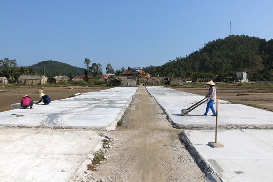 Phấn đấu đưa Quỳnh Thuận sớm trở thành trung tâm hậu cần nghề cá của Nghệ An