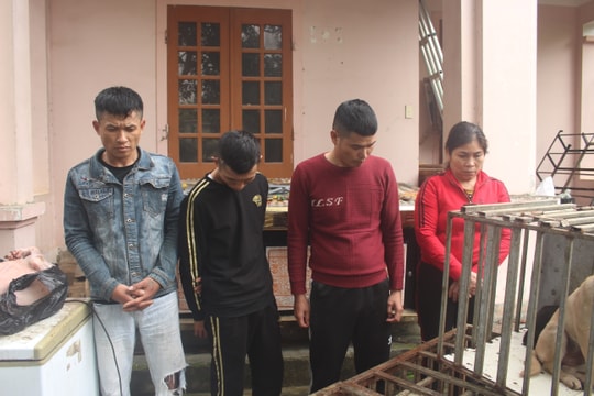 Băng nhóm đánh bả chó chuyên nghiệp ở Nghệ An sa lưới, bước đầu khai nhận 100 vụ đánh bả