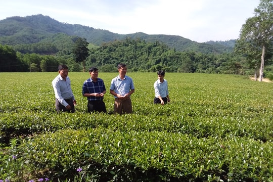 Đại hội Đảng bộ xã Phúc Sơn (Anh Sơn) nhiệm kỳ 2020 - 2025