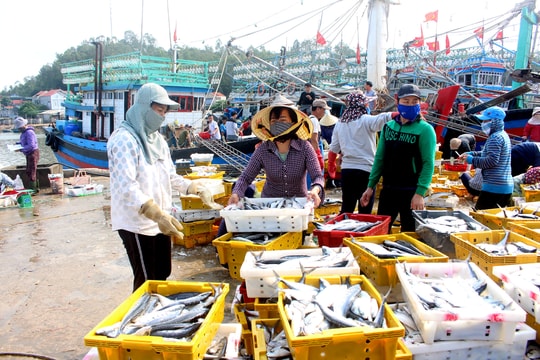 Đội tàu vây ở một xã Nghệ An đánh bắt hải sản thu gần 13 tỷ đồng