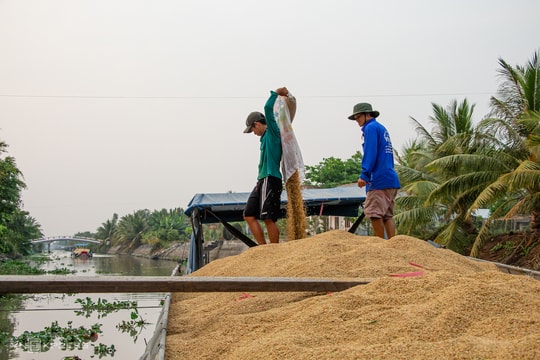 Bộ Công Thương kiến nghị xuất khẩu gạo trở lại
