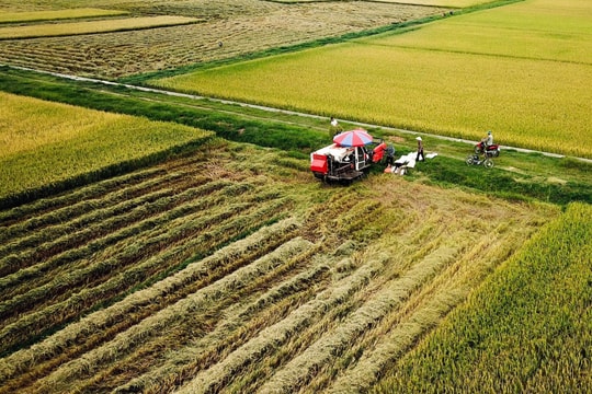 Vấn đề an ninh lương thực trong bối cảnh đại dịch