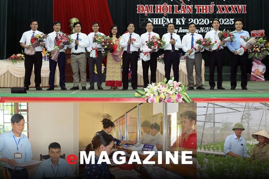 Góp ý kiến văn kiện đại hội Đảng các cấp – Chuyển hóa ý tưởng, bám sát thực tế