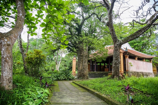 Ngỡ ngàng nét yên ả làng cổ trên đất Nam Đàn