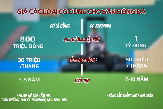 Các sân bóng V.League cần bao nhiêu tiền để thay mới mặt cỏ? 