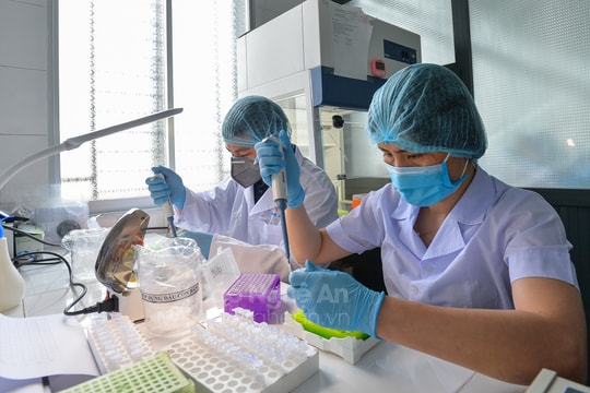 Chi tiết quy trình xét nghiệm Covid-19 tại Nghệ An