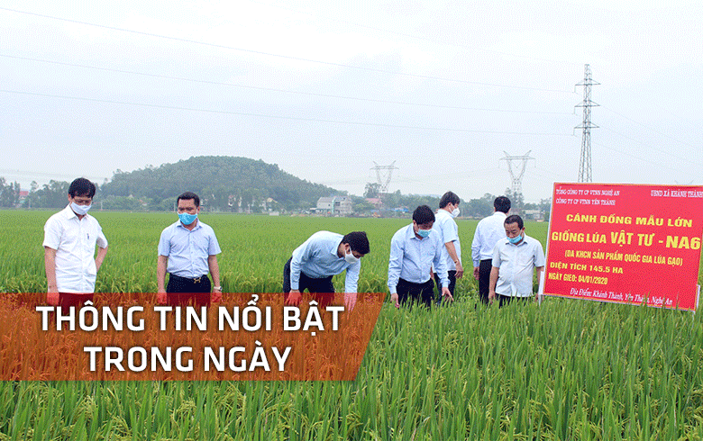 Nghệ An: Thông tin nổi bật trong ngày 17/4