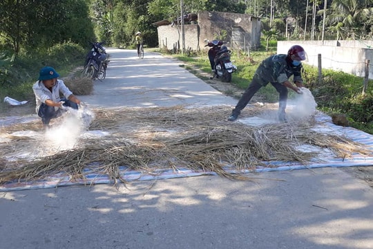 Tái phát dịch tả lợn châu Phi tại Thanh Chương