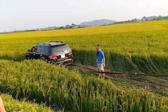 Mất lái, xe con lao xuống ruộng lúa