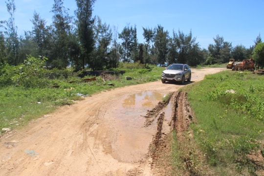 Nghệ An đầu tư 150 tỷ đồng xây dựng đê biển và trồng cây chắn sóng