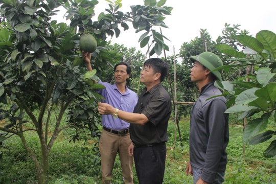 Nêu gương phải gắn với việc làm cụ thể