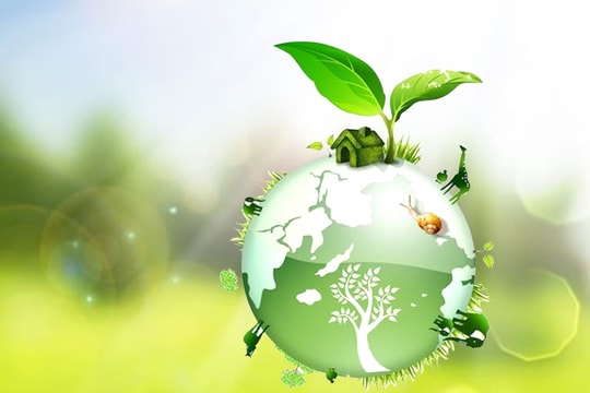 Tôn trọng thiên nhiên để bảo vệ trái đất
