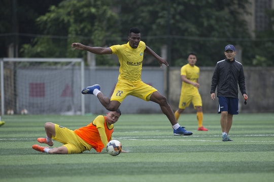 SLNA chả ngại chi, chỉ ngại… tây