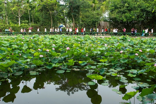 Nghệ An mở 'chiến dịch' quảng bá, xúc tiến du lịch hậu Covid-19