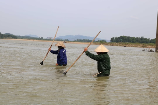 Ngâm mình cào hến trên Sông Lam