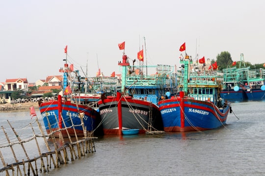 Vì sao hàng trăm tàu cá ở Nghệ An nằm bờ giữa mùa đánh bắt cao điểm?