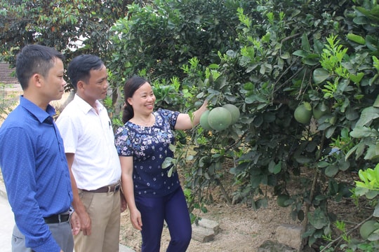 Xã Thanh Long (Thanh Chương): Quyết tâm đổi mới cách nghĩ, cách làm