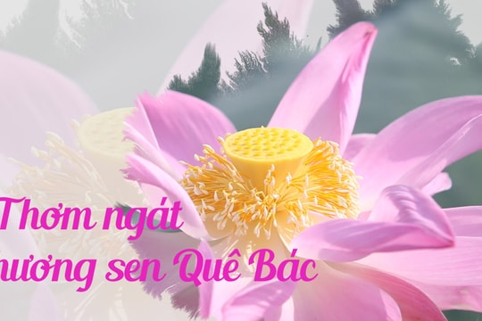 Thơm ngát hương sen Quê Bác