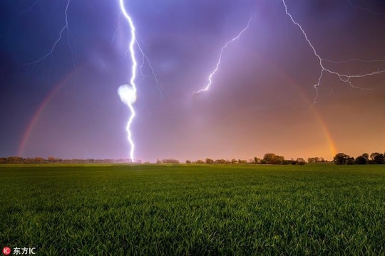 Một phụ nữ ở Nghệ An bị sét đánh chết trên đồng lúa