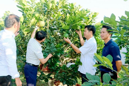 Đoàn kết đưa xã Thanh Phong (Thanh Chương) phát triển giàu mạnh