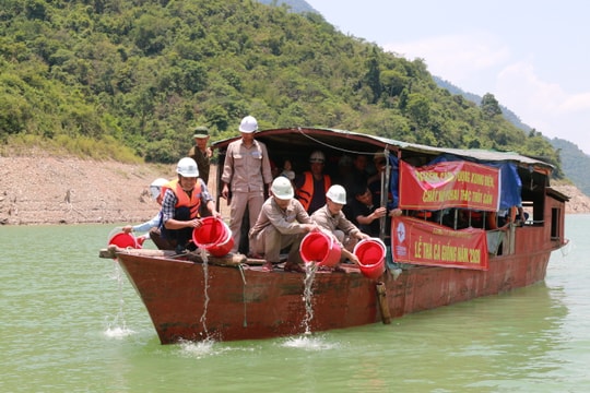 Thả trên 35.000 con cá giống xuống hồ thủy điện Bản Vẽ