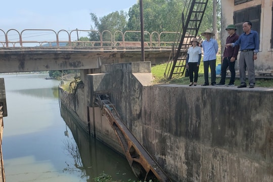 Nghệ An: Hạn hán nặng, xâm nhập mặn đe dọa sản xuất Hè thu