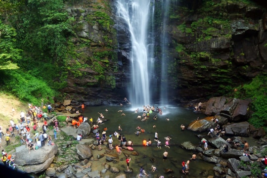 'Trốn nắng' ở vùng sinh thái Con Cuông