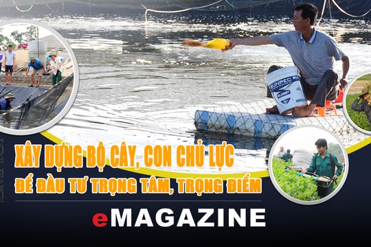 Nghệ An xây dựng bộ cây, con chủ lực để đầu tư trọng tâm, trọng điểm