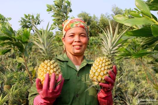 Sản phẩm nông nghiệp của Nghệ An cần nằm trong bộ sản phẩm chủ lực quốc gia 