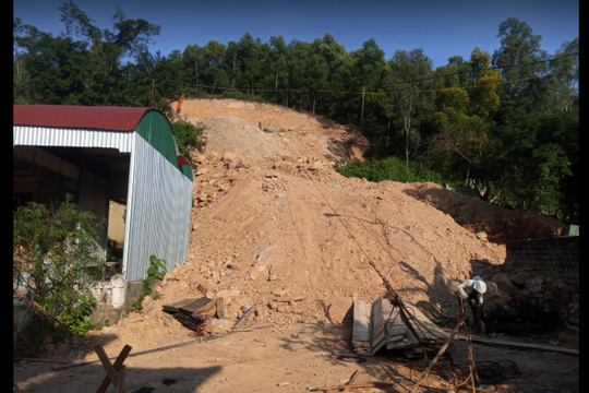 Người đàn ông ở Cửa Lò tử vong khi đi lấy mật ong rừng