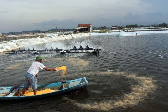 Không thể phát triển nông nghiệp với tư duy 'Nhất nước, nhì phân, tam cần, tứ giống'