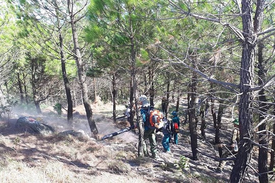 Nghệ An tăng cường giải pháp canh phòng lửa rừng