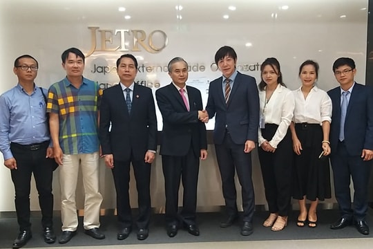 UBND tỉnh Nghệ An làm việc với đại sứ quán Nhật Bản, tổ chức JICA và JETRO